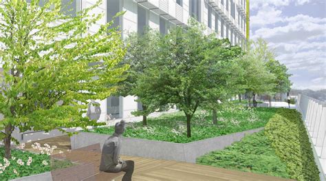 Landscape Design For Hospitals