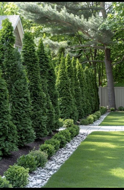 Landscape Design For Privacy