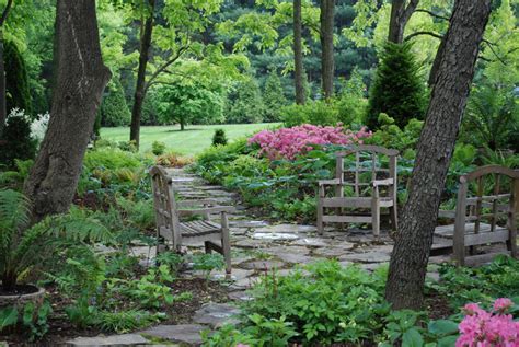 Landscape Design For Shady Backyard