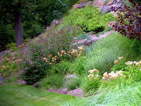 Landscape Design For Steep Slopes
