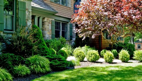 Landscape Design Foundation Plants
