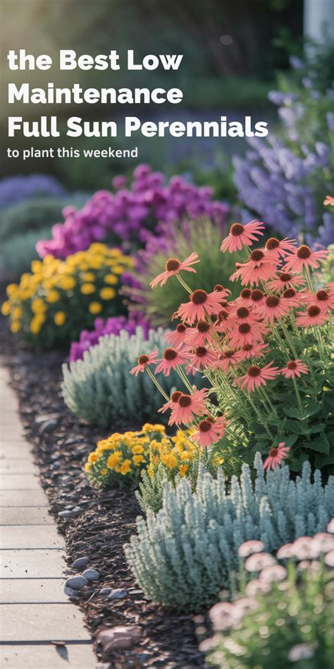 Landscape Design Full Sun Perennials