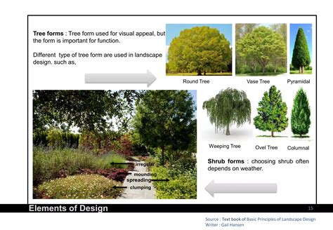 Landscape Design Fundamentals