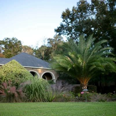 Landscape Design Gainesville Fl
