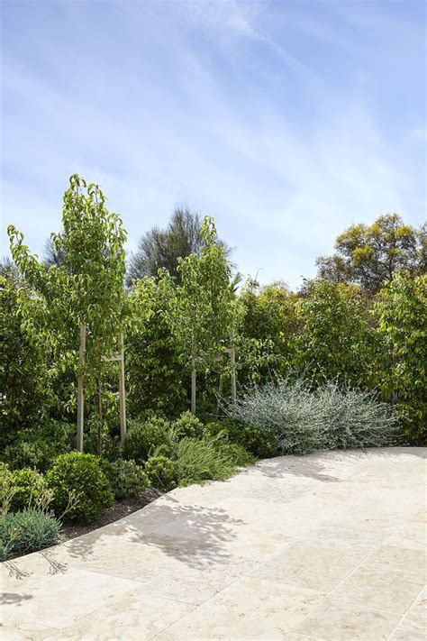 Landscape Design Gisborne