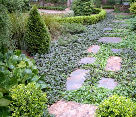 Landscape Design Ground Cover