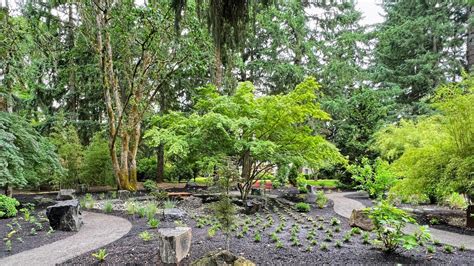 Landscape Design Hillsboro Oregon