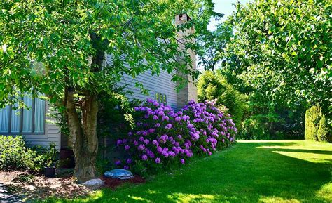 Landscape Design Home Depot