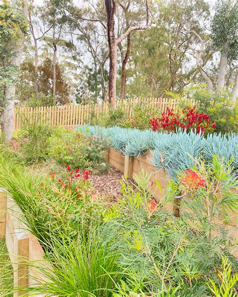 Landscape Design Hornsby