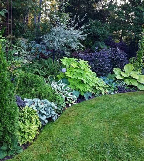 Landscape Design Ideas For Shade