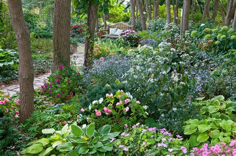 Landscape Design Ideas For Shady Areas