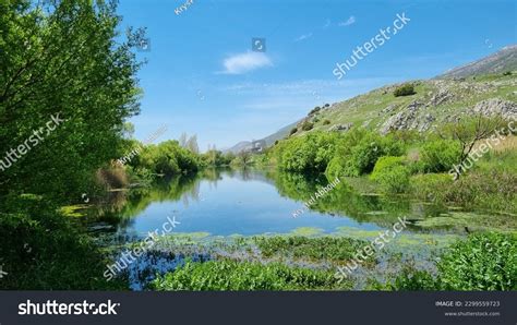 Landscape Design In Lebanon