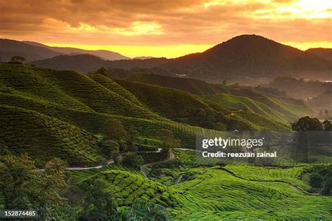 Landscape Design In Penang