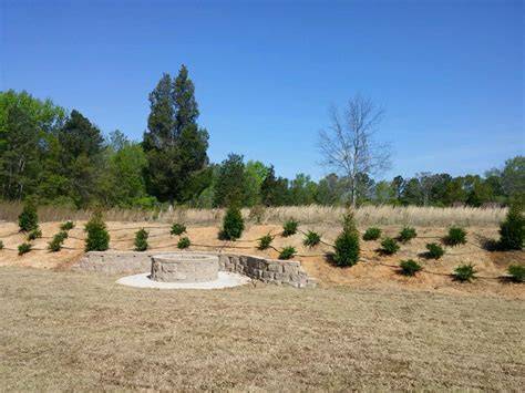 Landscape Design Irmo Sc