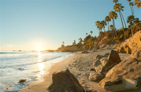 Landscape Design Laguna Beach
