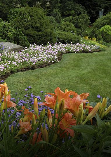 Landscape Design Main Line Pa