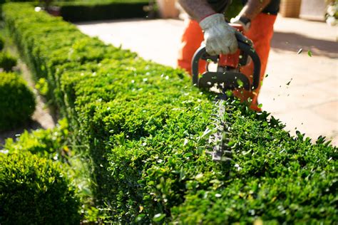Landscape Design Maintenance