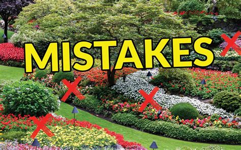 Landscape Design Mistakes