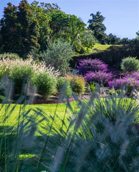 Landscape Design Newcastle Nsw