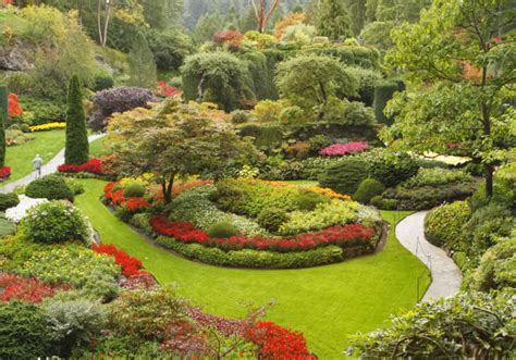 Landscape Design North Georgia