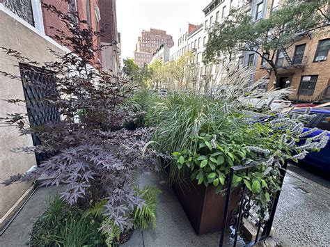 Landscape Design Nyc