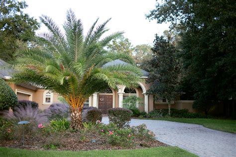 Landscape Design Ocala Fl