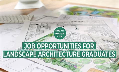 Landscape Design Opportunities