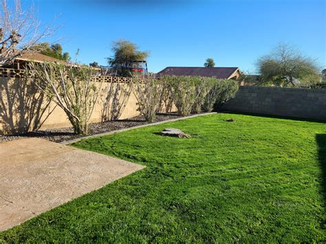 Landscape Design Peoria Az