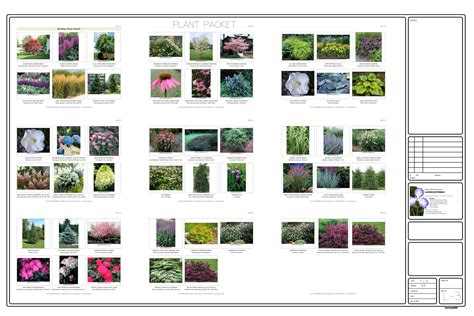 Landscape Design Plant List