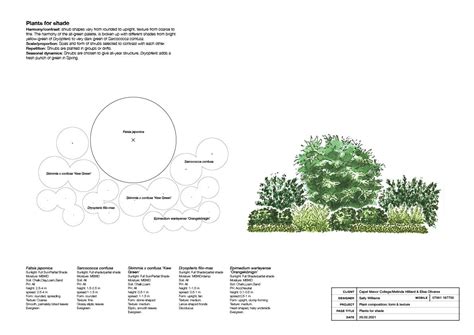 Landscape Design Plant Spacing