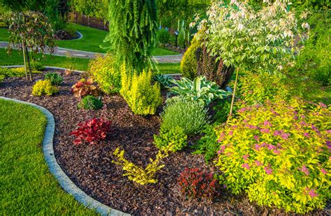 Landscape Design Plants Pictures