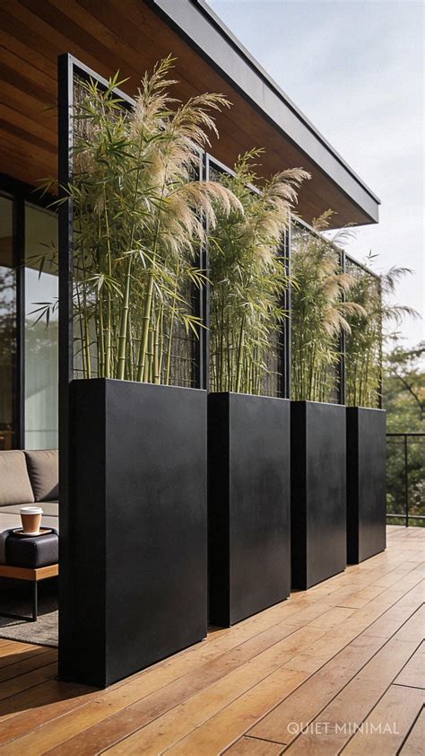 Landscape Design Privacy Screen