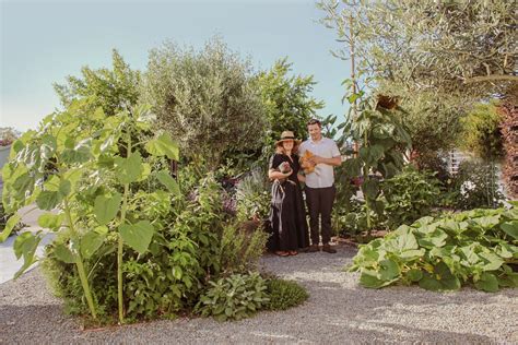 Landscape Design Sacramento