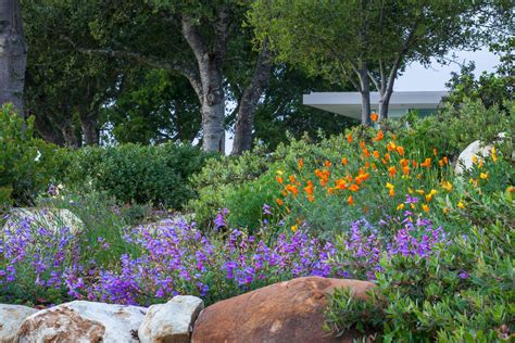 Landscape Design San Diego