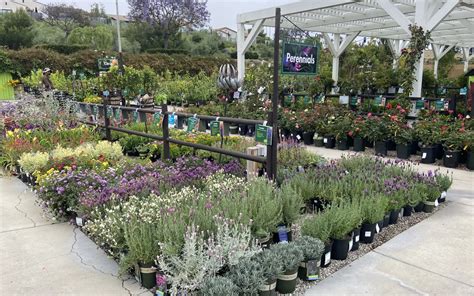 Landscape Design San Juan Capistrano