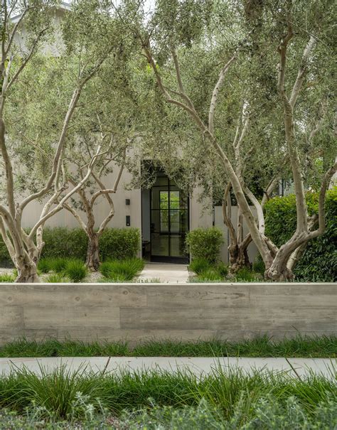 Landscape Design Santa Monica