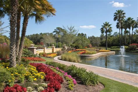 Landscape Design Schools In Florida