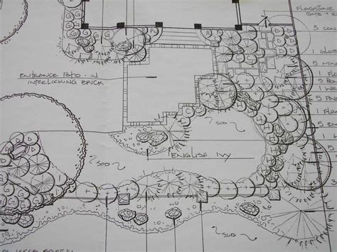 Landscape Design Sketch