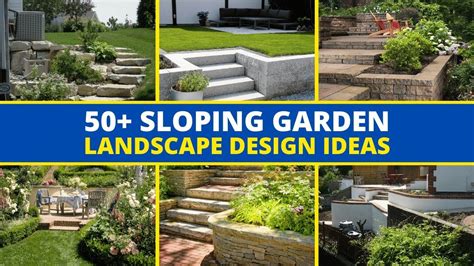 Landscape Design Sloped Front Yard