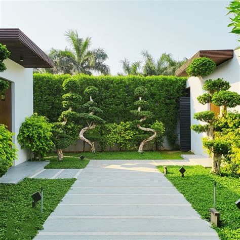 Landscape Design Solutions