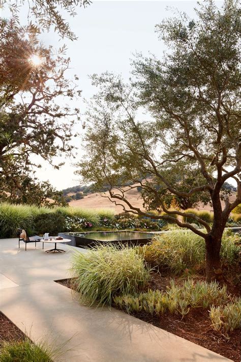 Landscape Design Sonoma