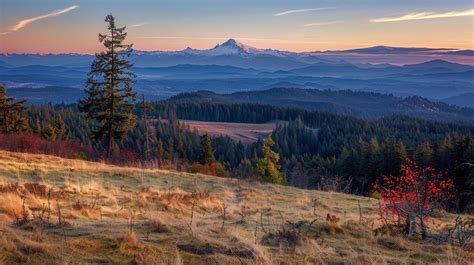 Landscape Design Southern Oregon