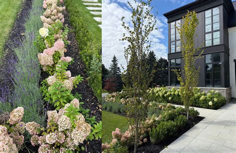Landscape Design Studio Pittsburgh