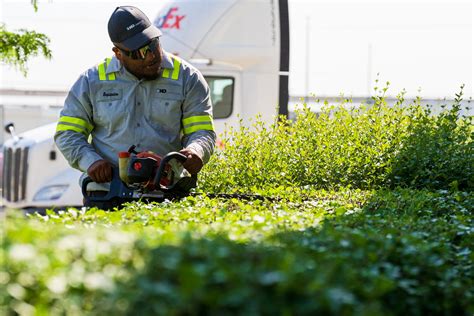 Landscape Design Technician