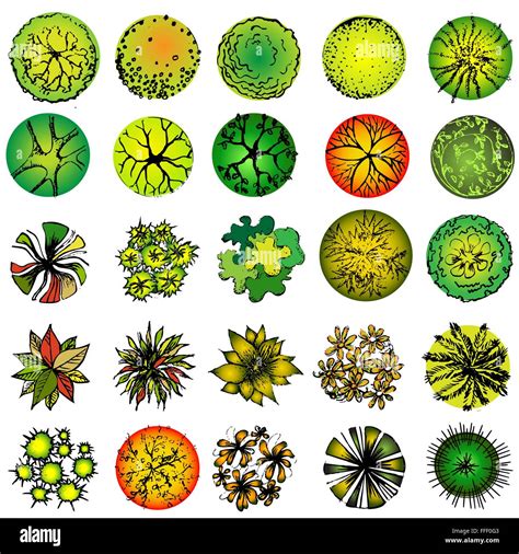 Landscape Design Tree Symbols