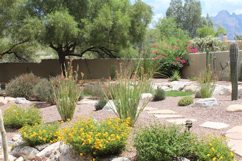 Landscape Design Tucson Az