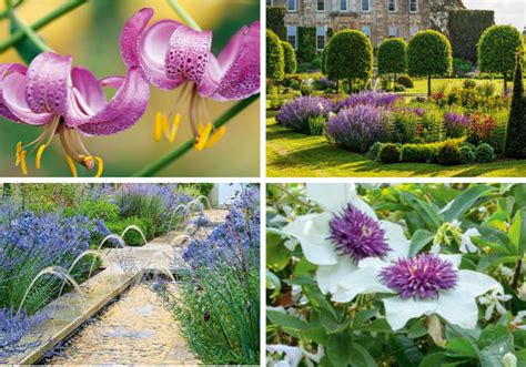Landscape Design Tumblr