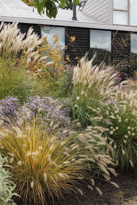 Landscape Design Using Ornamental Grasses
