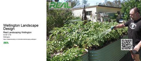 Landscape Design Wellington