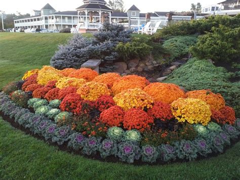 Landscape Design With Mums